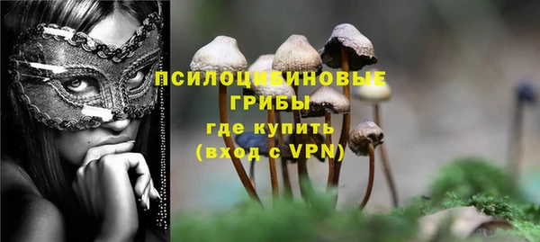 ГАЛЛЮЦИНОГЕННЫЕ ГРИБЫ Бронницы
