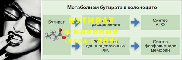 молекула духа Бородино