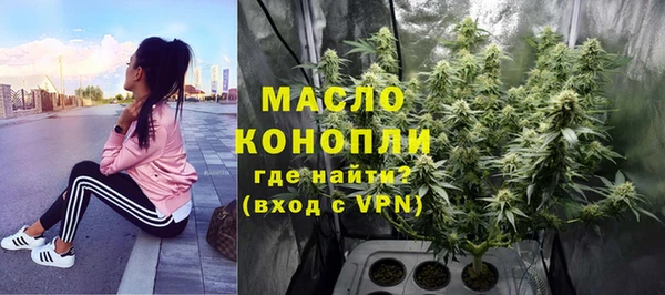 молекула духа Бородино