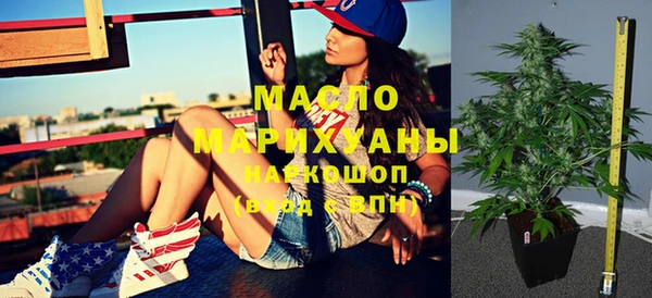 молекула духа Бородино