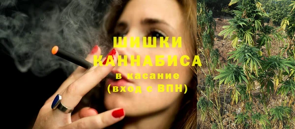 молекула духа Бородино