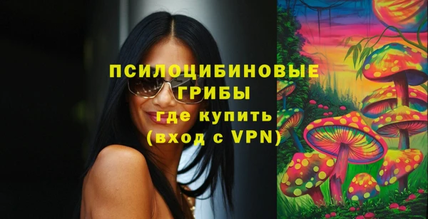 ГАЛЛЮЦИНОГЕННЫЕ ГРИБЫ Бронницы
