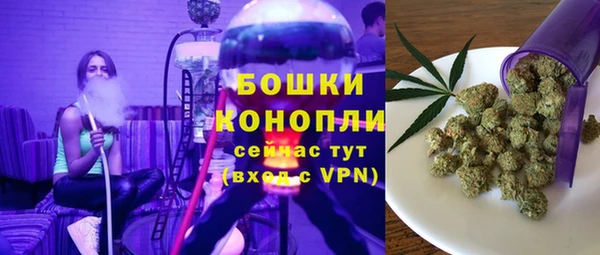 ГАЛЛЮЦИНОГЕННЫЕ ГРИБЫ Бронницы