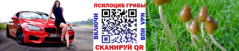 Псилоцибиновые грибы MAGIC MUSHROOMS  Мышкин 