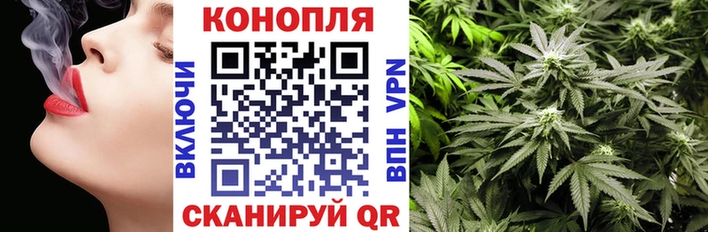 Конопля гибрид  Мышкин 